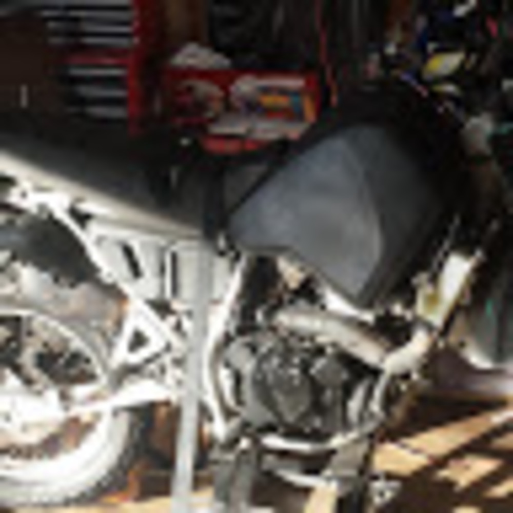 Meet your Posher, Preston